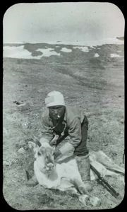 Image of Polar Eskimo [Inughuit] Man with Caribou
